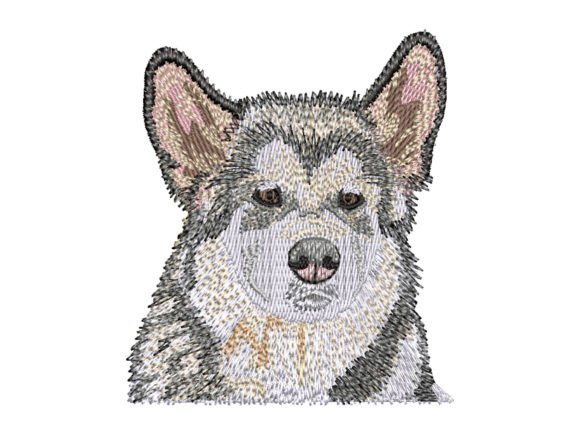 Reviewing the Alaskan Malamute Puppy Embroidery Design
