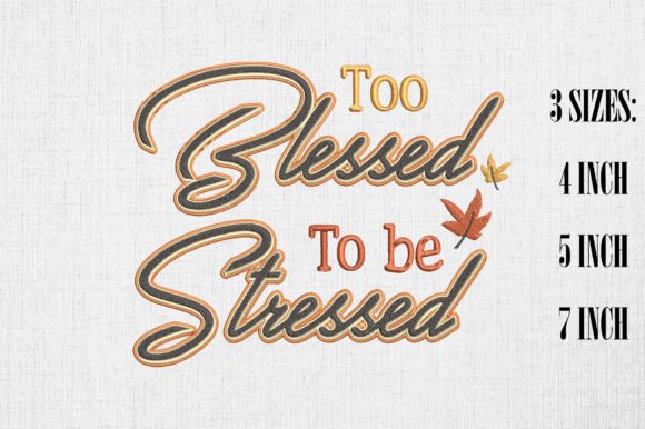Reviewing Too Blessed to Be Stressed for Gifts